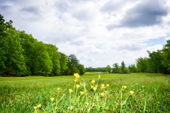 Golfing-Outtings-36