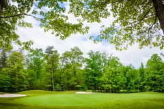 Golfing-Outtings-38