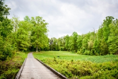 Golfing-Outtings-39