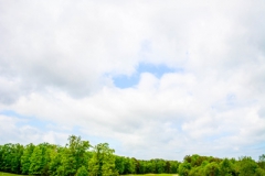 Golfing-Outtings-42